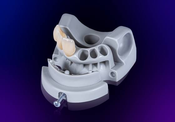 Endo-carcass M2-PRO