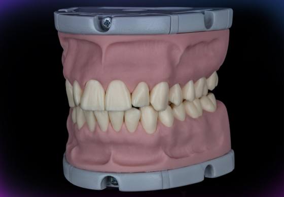 Dental phantom M1-Pro