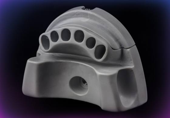 Endo-carcass for M2-LUX