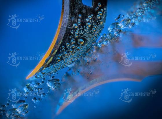 ArtPhoto 4