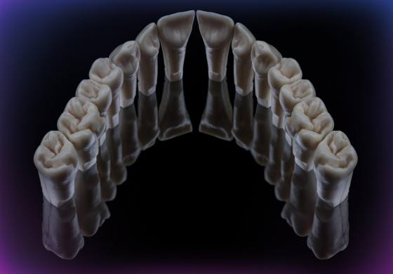 Full set of teeth (per one jaw) M1-PRO