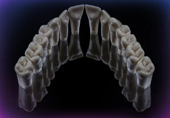 Full set of teeth (per one jaw) M1-PRO
