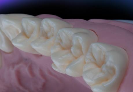 Dental phantom M1-Pro