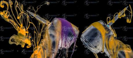 «inversion». From the cycle "Dreams of Weapons".