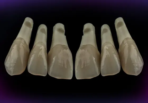 Set of the teeth for М2-LUX