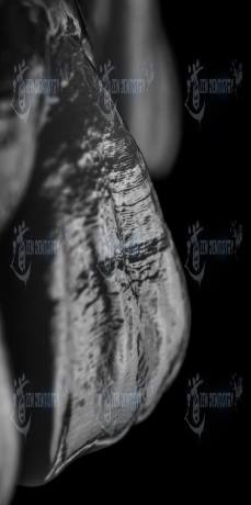 ArtPhoto 6