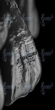 ArtPhoto 6