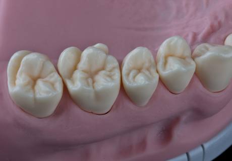 Dental phantom M1-Pro
