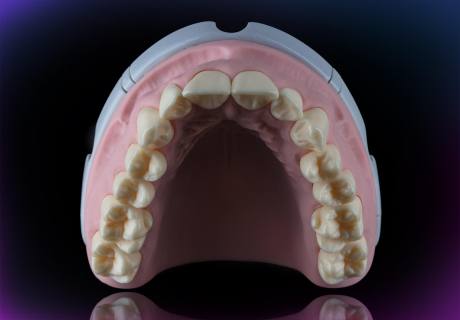 Dental phantom M1-Pro