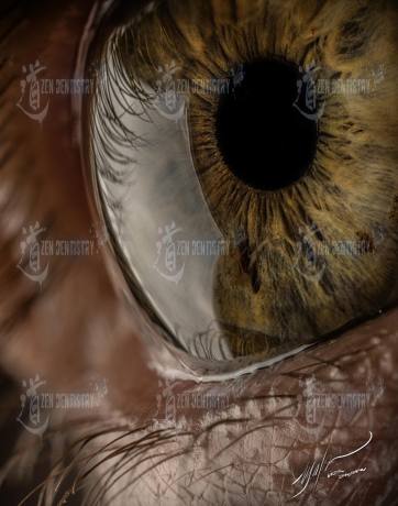 ArtPhoto 29