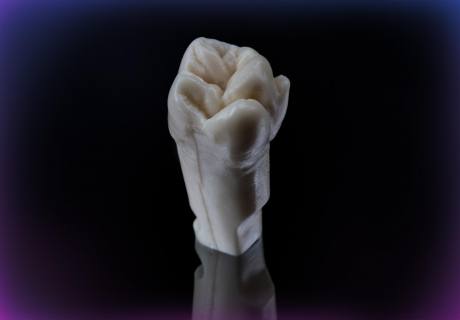 Single tooth M1-PRO