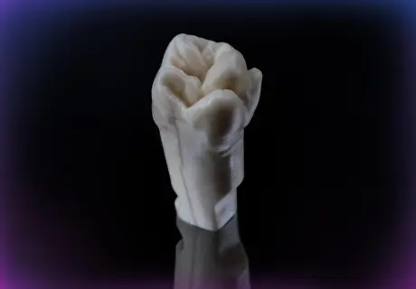 Single tooth M1-PRO