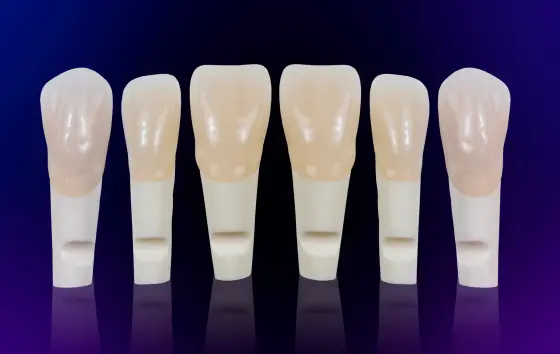 Full set of teeth M2-PRO